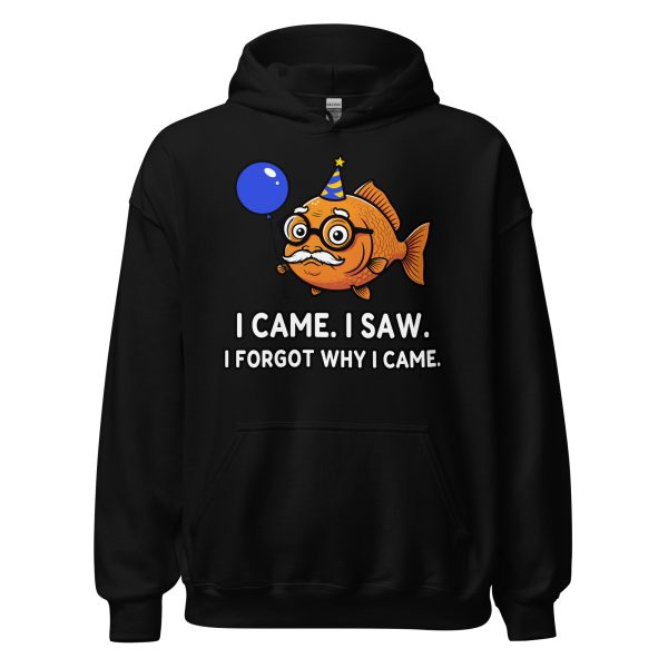 I Came. I Saw. I Forgot Why I Came. - Unisex Hoodie