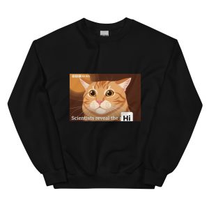 Scientists Reveal the Hi - Secret Orange Cat Tiktok Instagram BBC News Headline - Unisex Sweatshirt