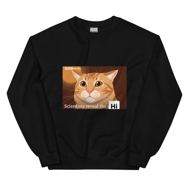 Scientists Reveal the Hi - Secret Orange Cat Tiktok Instagram BBC News Headline - Unisex Sweatshirt